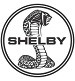 shelby.jpg